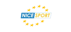 Nice School logo
